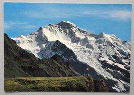 Jungfrau von Männlichen aus