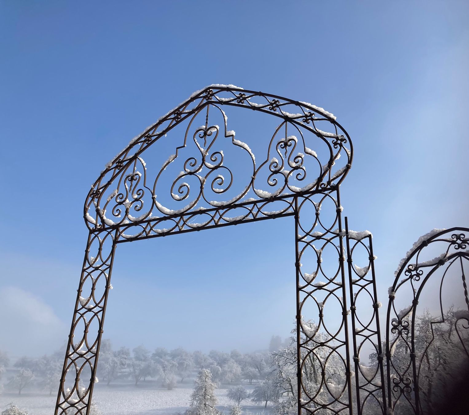 Tiro con l'arco: Portal Gartan Rosenbogen Eingangsbogen – Usato da Oberbussnang venduto da Schmiede_herzog