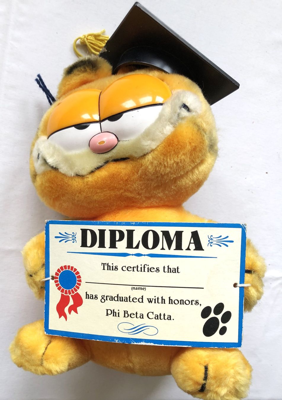 Giocattoli: Garfield - Plüschtier mit Diplom – Usato da Schaffhausen venduto da durruti