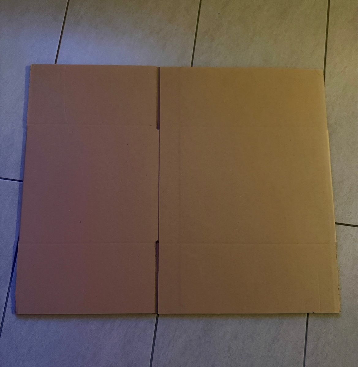 Cartoni: Cartons pliables - envoie postal  – Nuovo (secondo la descrizione) da Lausanne venduto da Frankrebel