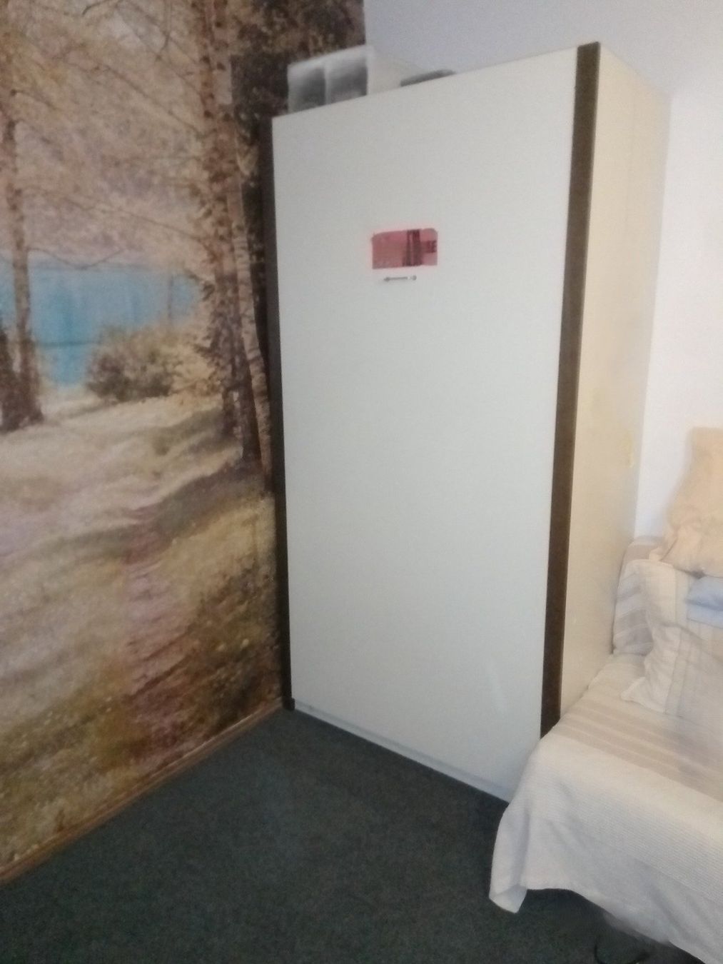 Letti: Letto armadio e scrivania – Usato da Veyrier venduto da Noemicenteno 1