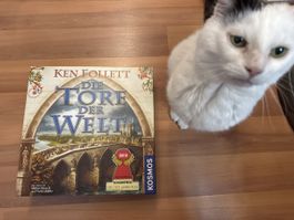 Ken Follett - Die Tore der Welt, Brettspiel, Top Zustand