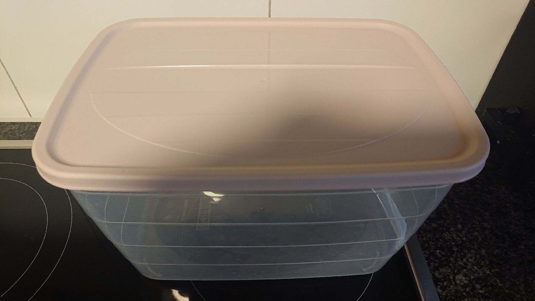 Contenitori & Simili: Grosse Aufbewahrungsbox transparent mit Deckel – Usato da Madiswil venduto da Sandraho 1