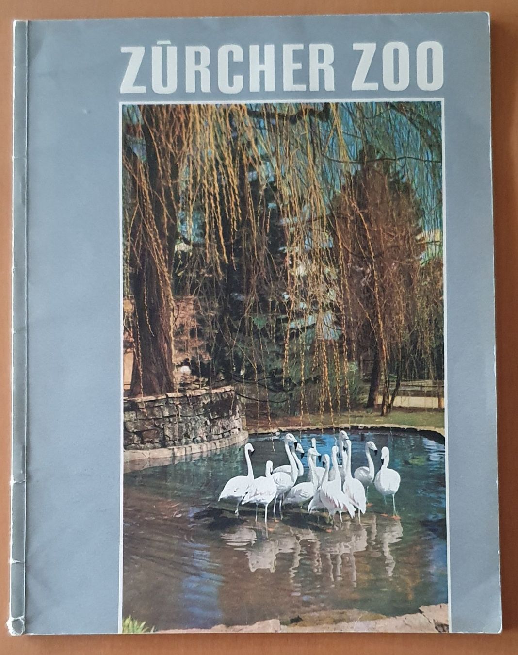 Riviste & Magazine: Zürcher Zoo - Heft 1953 – Usato da Kreuzlingen venduto da Rschweiz1