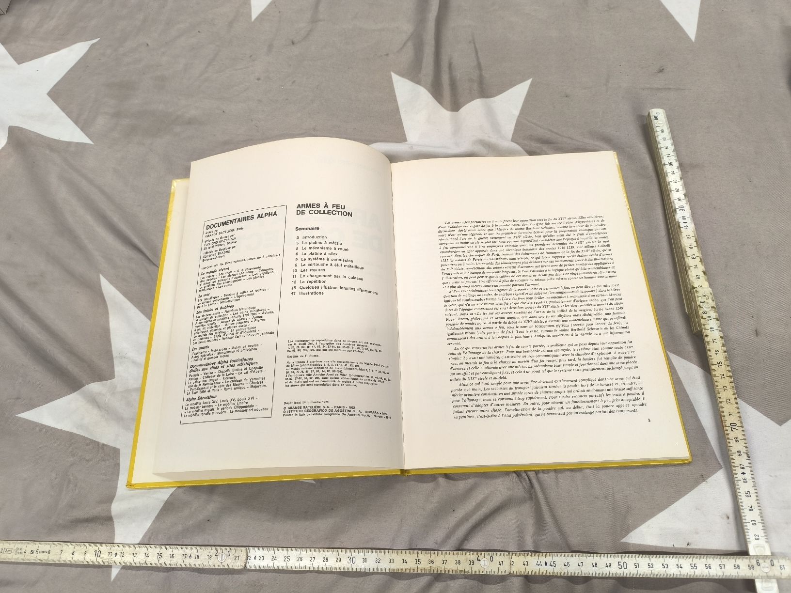 Libri: BUCH.. Armes À Gru De Collection – Usato da Cama venduto da anto_a 2