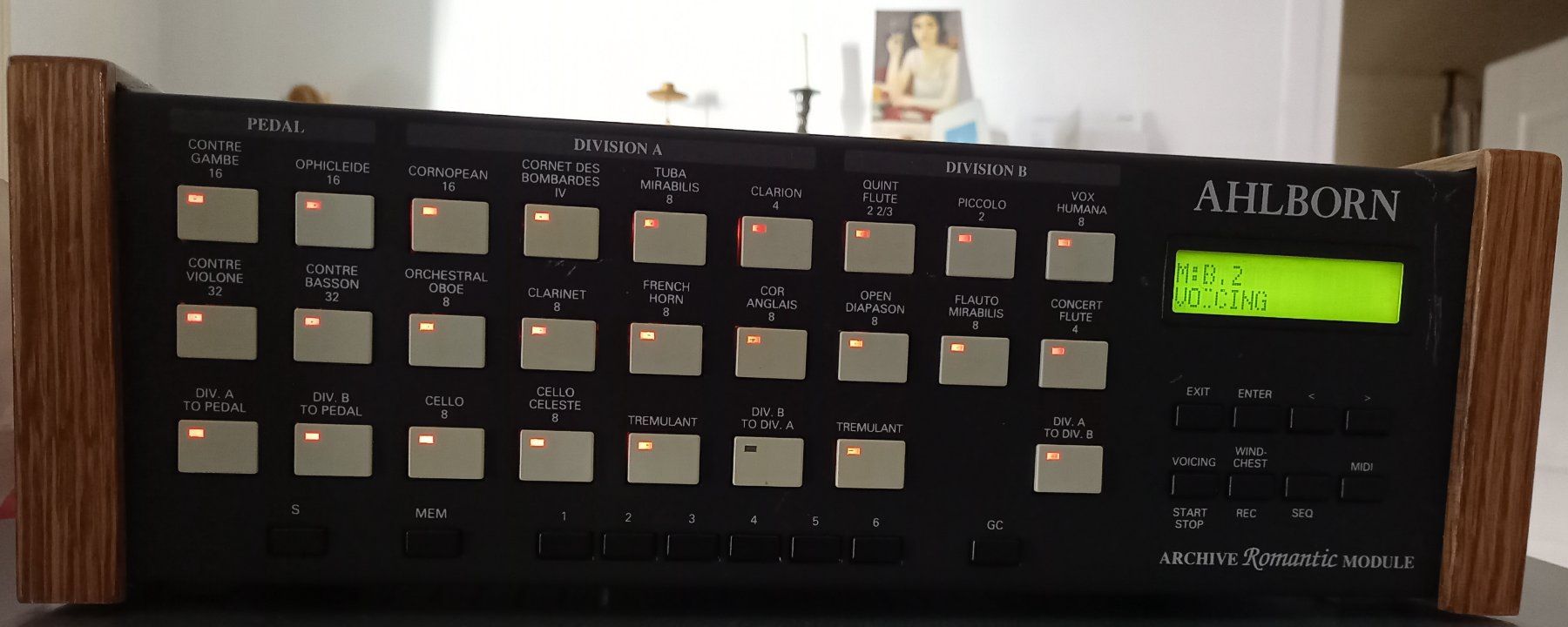 Strumenti musicali: Ahlborn Archive Romantic Modul Orgel Expander – Usato da Luzern venduto da garlicia 1