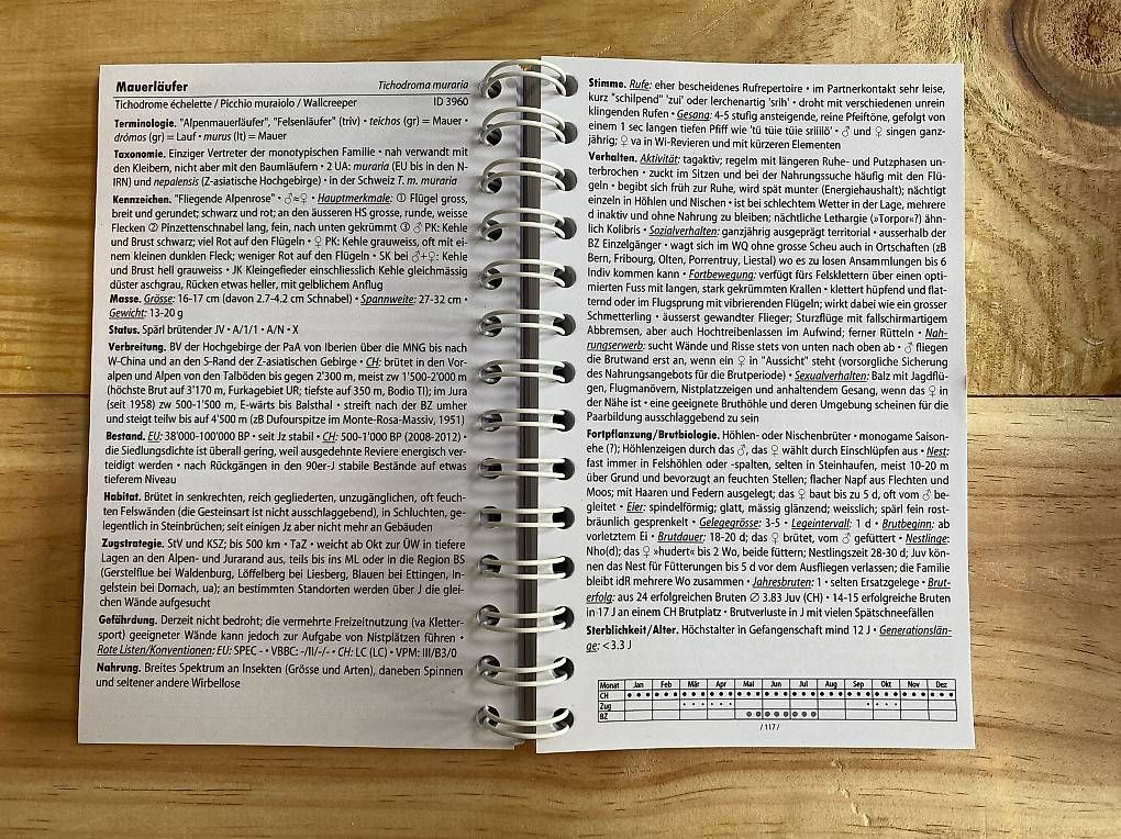 Tous les timbres: Ornithologische Steckbriefe – Neuf avec emballage d'origine à Buchs AG par tam_k2nj 3