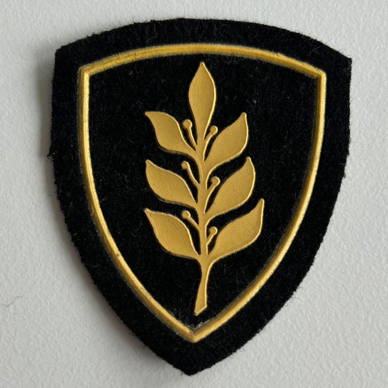 Patches: Sportabzeichen | Patch Kantonspolizei Polizei Bern – Gebraucht aus Hünibach von Chatzestrecker