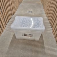 3x Rotho Aufbewahrungsbox EVO 44 L transparent neuwertig