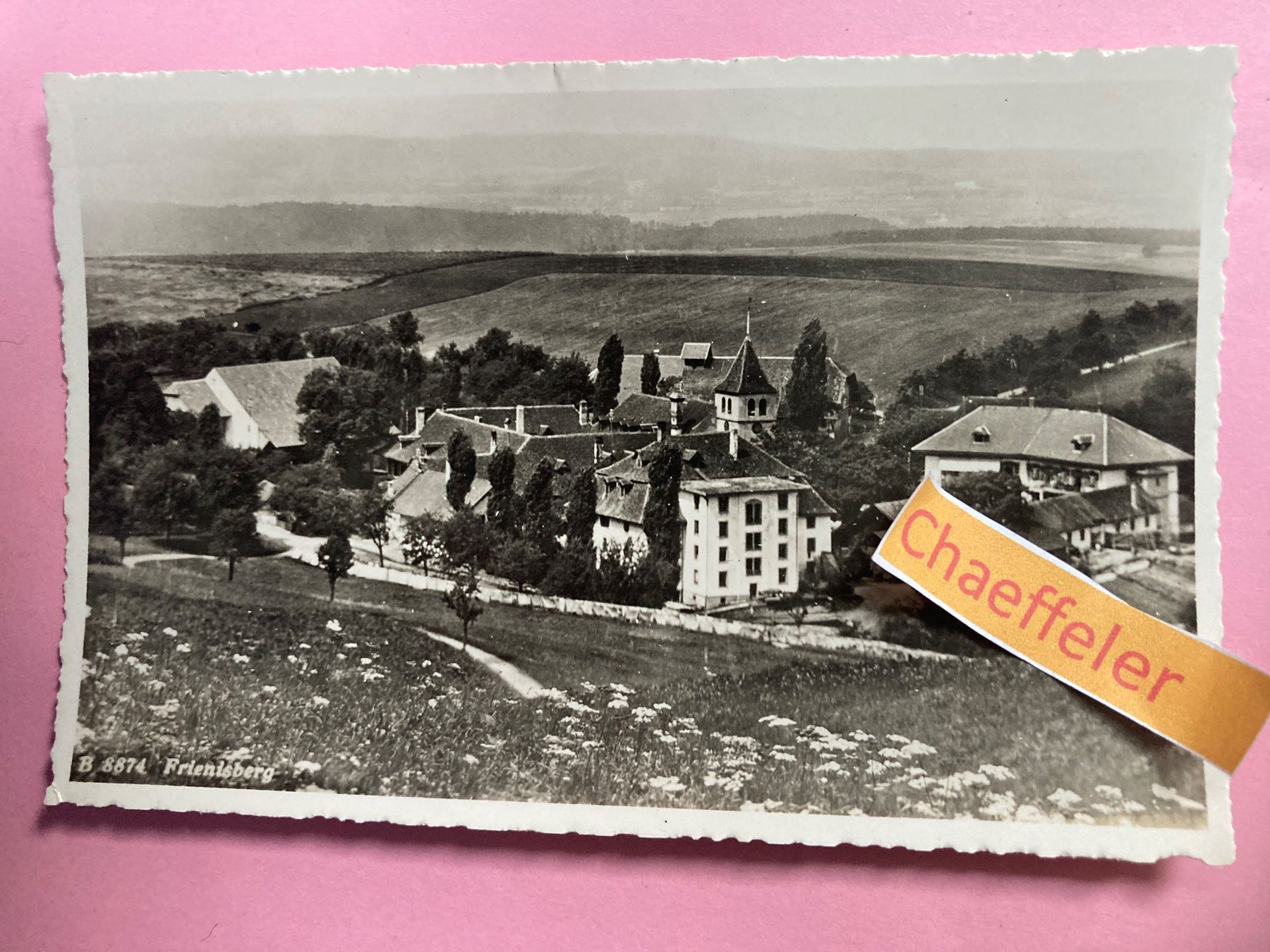 Cartoline postali: B 8874 Frinisberg – Usato da Zürich venduto da Chaeffeler