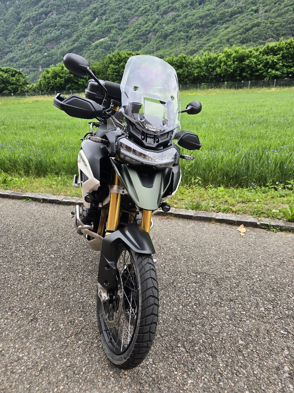 Triumph Touring: Moto Triumph Tiger 1200 Rally Pro – Gebraucht aus Camignolo von ROBKA77 2