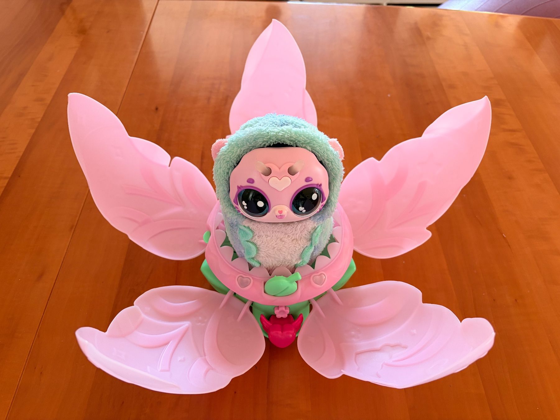 Hatchimals Jouets: Hatchimals Bloomables Kittyfly Top Zustand – D'occasion à Cham par CarmenBu 3