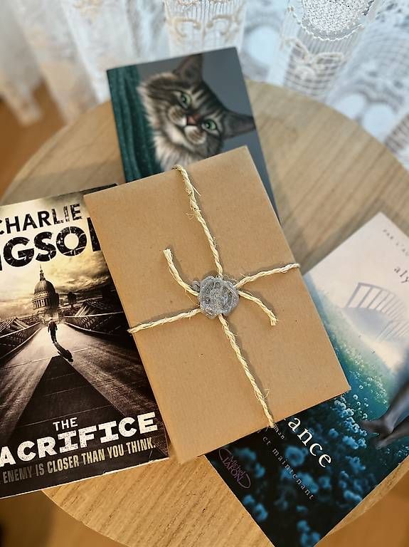 Libri: Mystery Book – Usato da Lausanne venduto da kir_9bf8