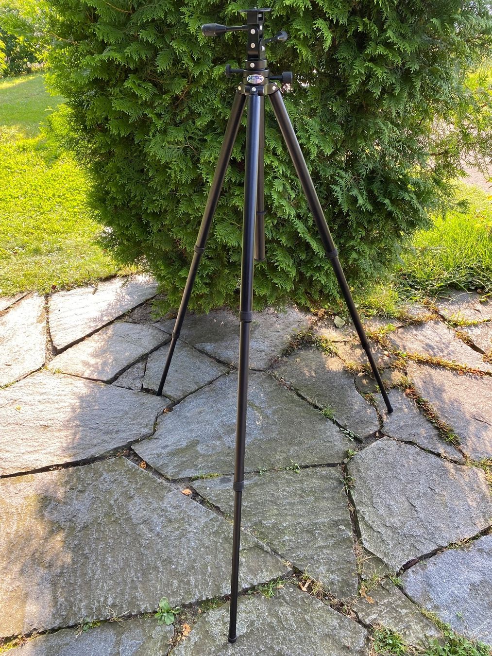 Leitz Fotocamera: E. Leitz Tiltall Tripod 4602 Stativ – Usato da Feldbach venduto da Fea1 6