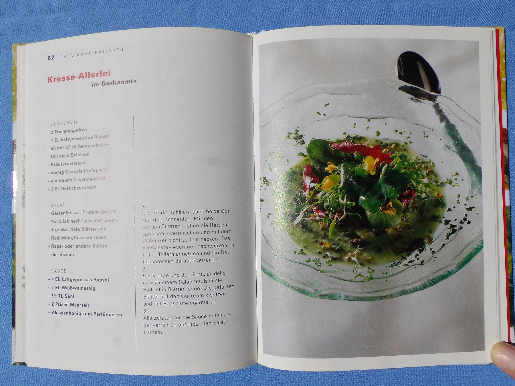 Bücher: Raffinierte Blattsalate – Gebraucht aus Uster von urs_75by 5