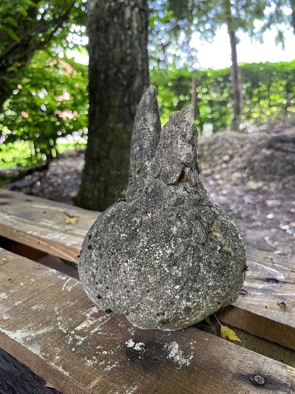 Statuette: Henne, Güggel, Figur, Garten-Dekoration – Usato da Oberentfelden venduto da Fabianbeboux 3