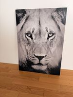 Löwenbild, 50x70 , Top Zustand!
