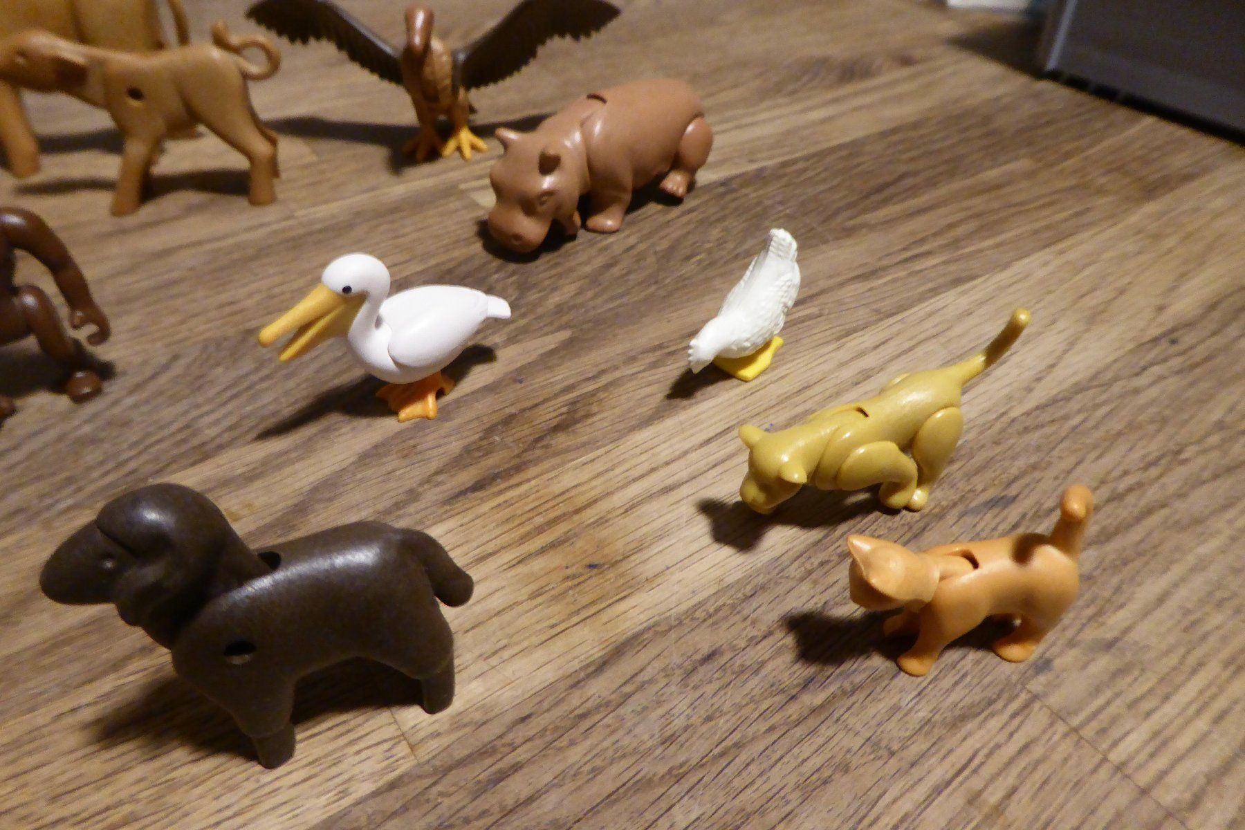 Playmobil Giocattoli: Playmobil Tiere – Usato da Allschwil venduto da Summelsarium 6