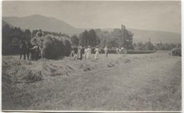 Landwirtschaft/Heuen 1910 mit Pferde-Fuhrwerk AG/SO/BE?