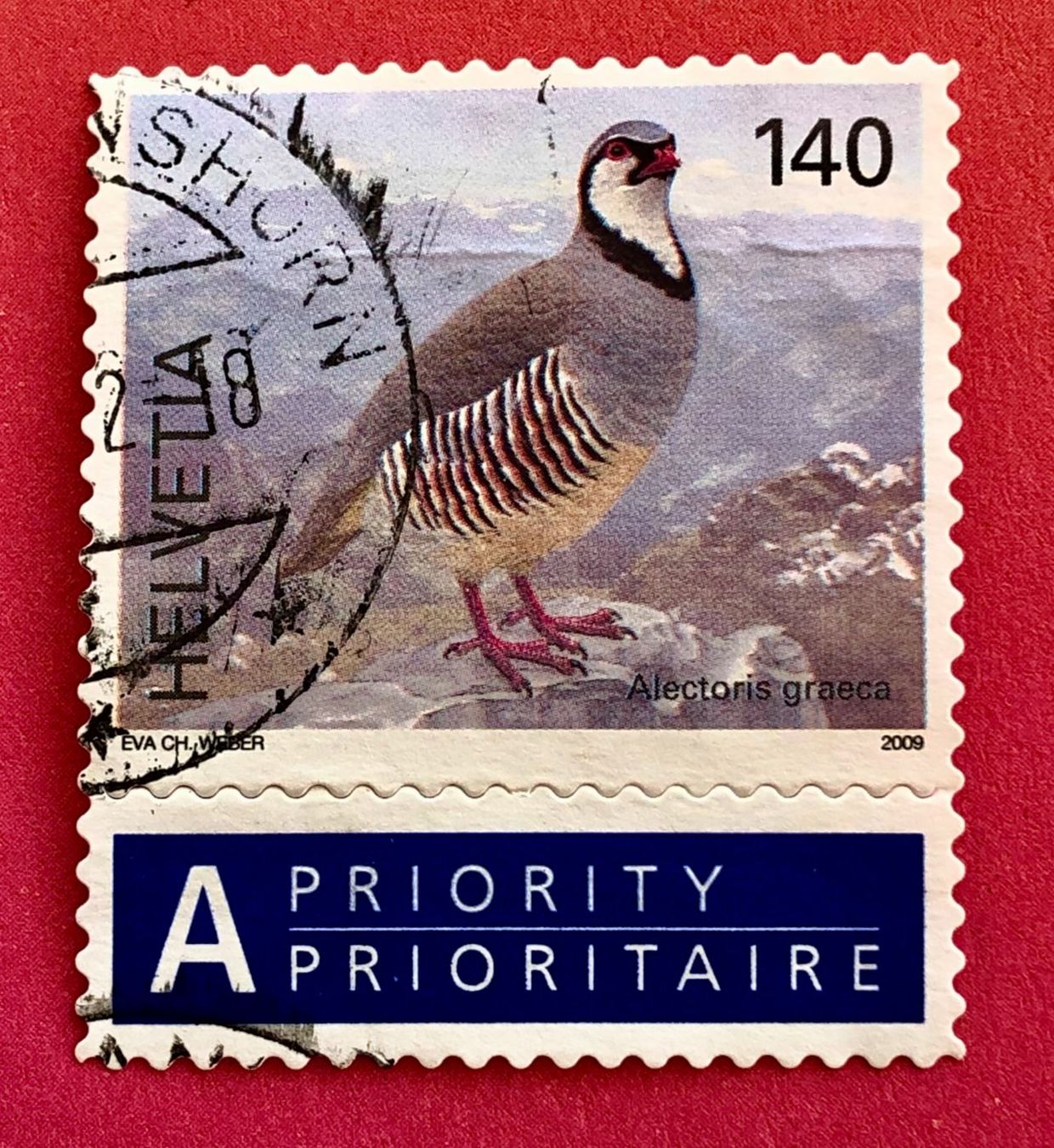 Tutti i francobolli: Nr.1306 Steinhuhn Vögel GESTEMPELT 2009   – Usato da Aarau venduto da Billa007