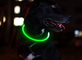 Hundehalsband leuchtend Halsband Nachthalsband Hund Zubehör