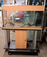 Aquarium MP mit Unterschrank