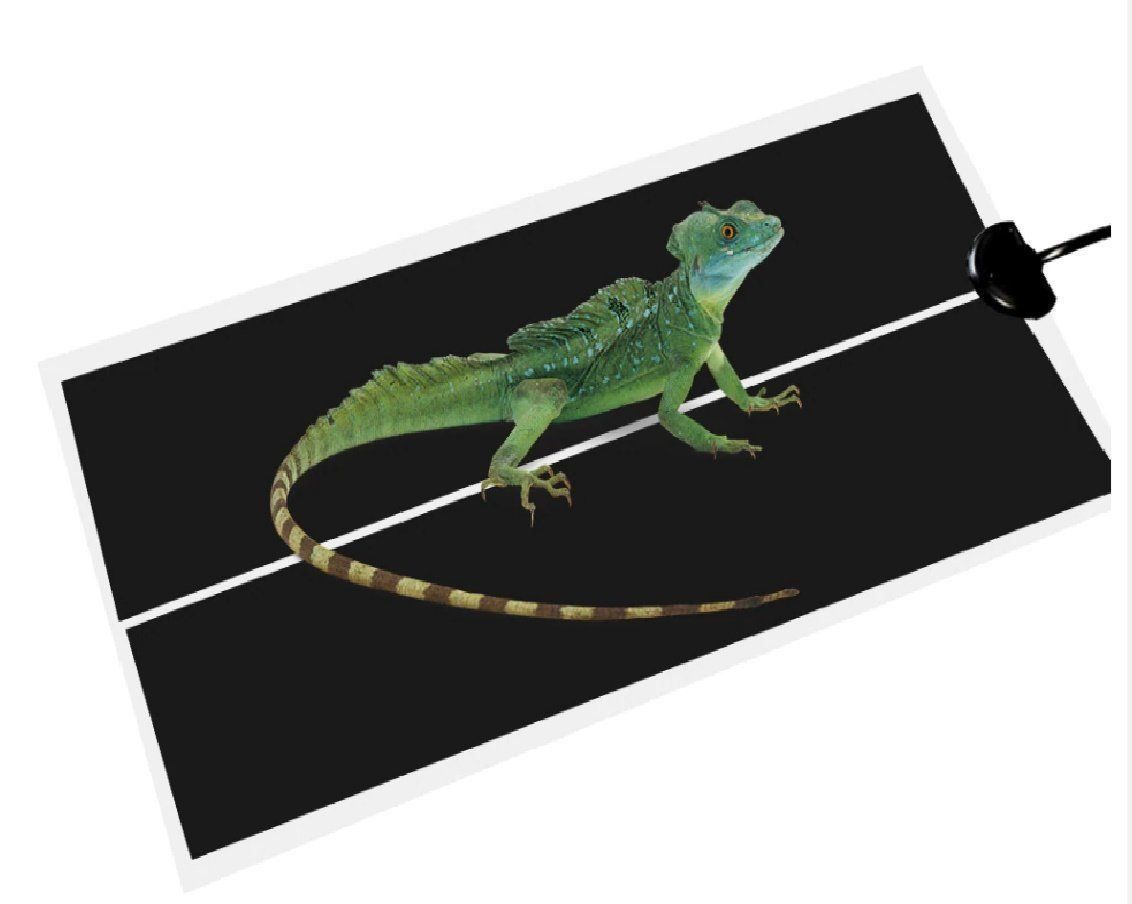 Terrario: Reptilien Pet Wärme Matte 7W – Nuovo e nell'imballaggio originale da Uerkheim venduto da Kaufoption 1