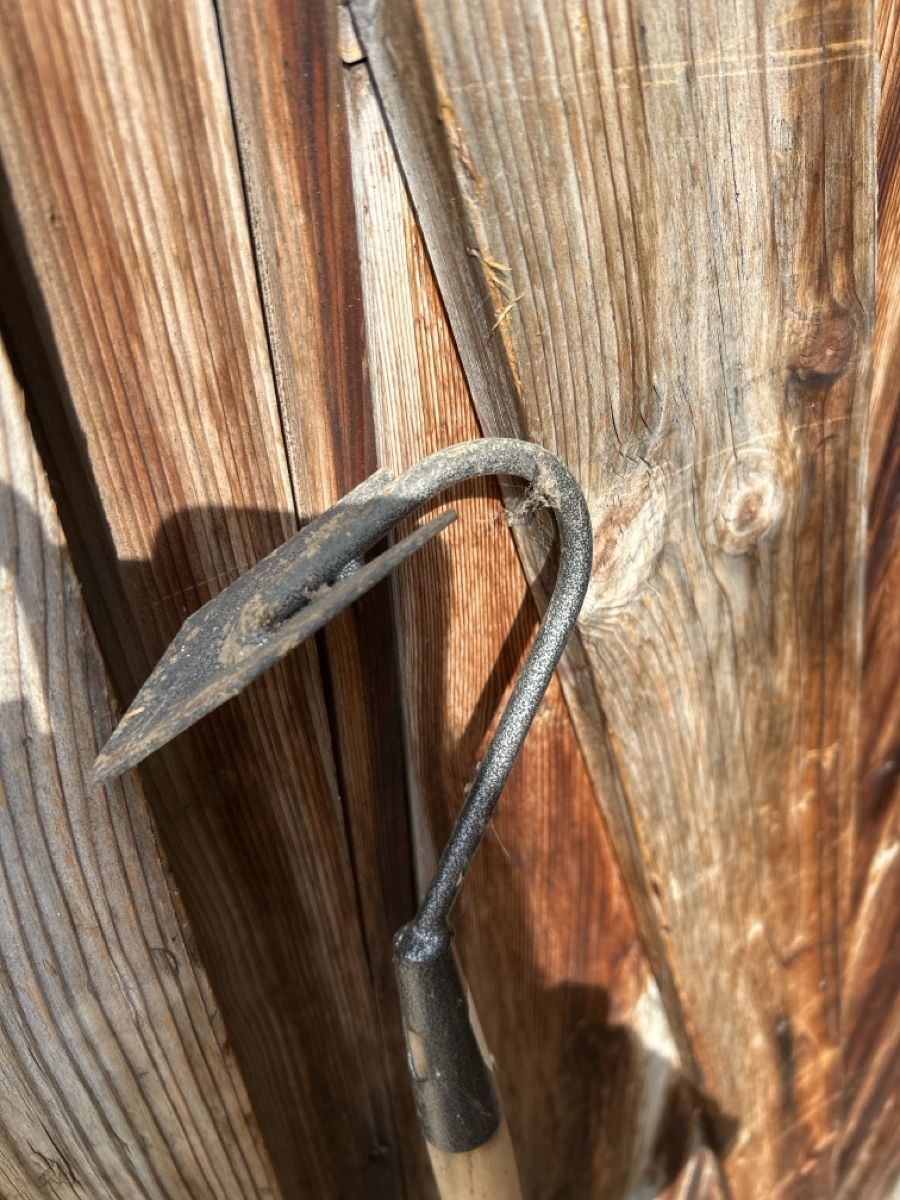 Tutti gli attrezzi: Gartenhacke – Usato da zürich venduto da Julia05 1