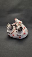 Katzen im Sack