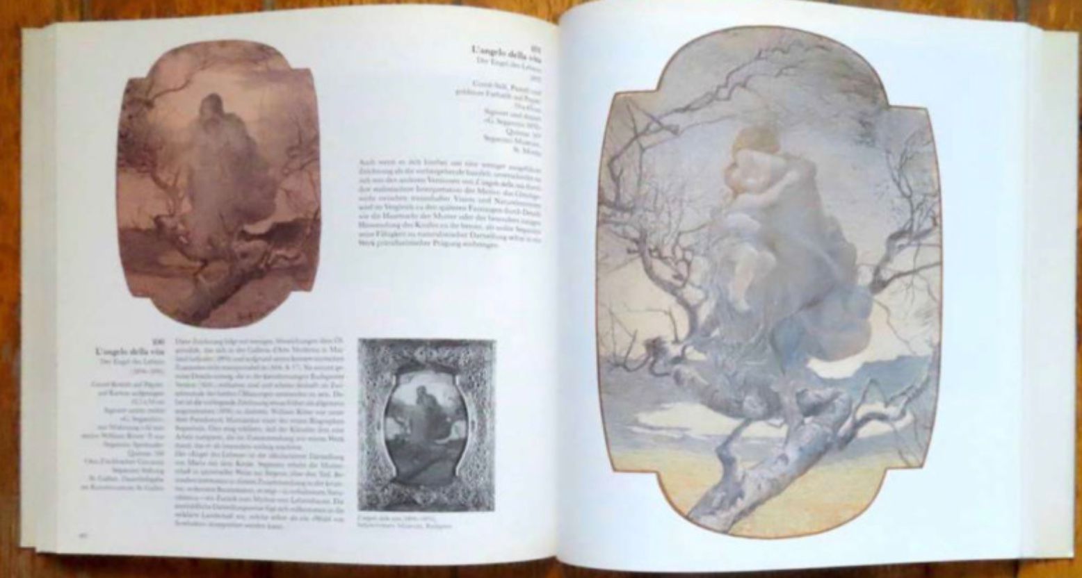 Libri: Giovanni Segantini 1858-1899 – Usato da Le Locle venduto da LibrairieLaBergerie 3