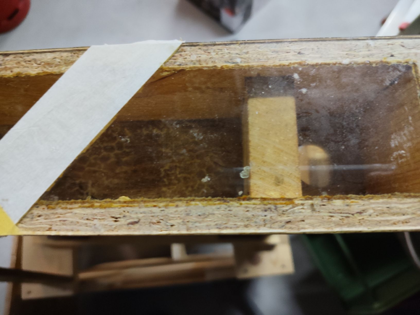 Vetrine: Zander Bienen Schaukasten, Königinzuchtkasten – Usato da Niederstetten venduto da Macun0 6