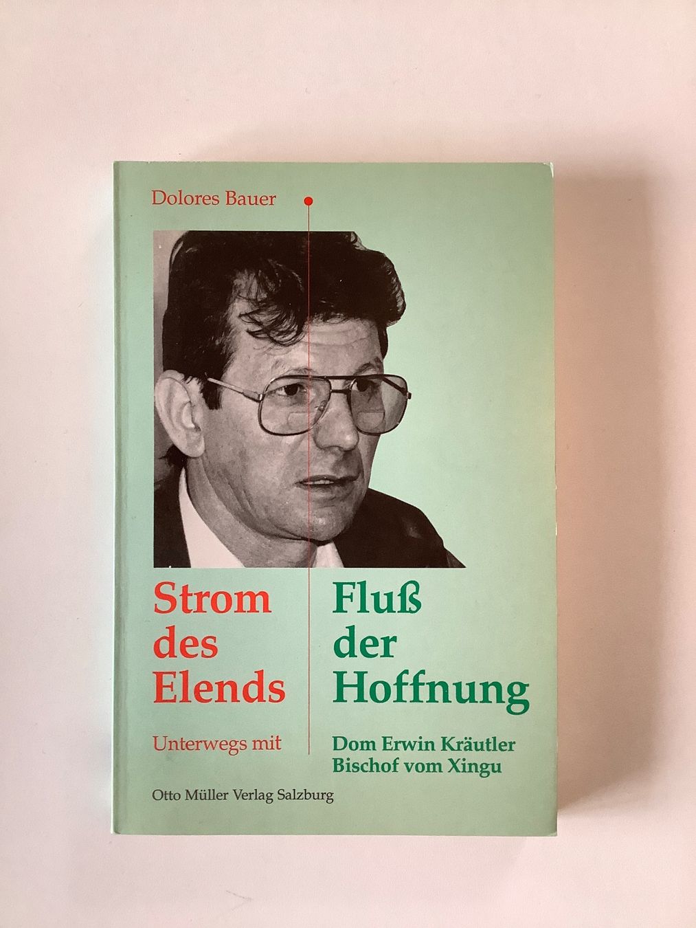 Libri: Strom des Elends/Fluss der Hoffnung – Usato da Triesen venduto da Boston5