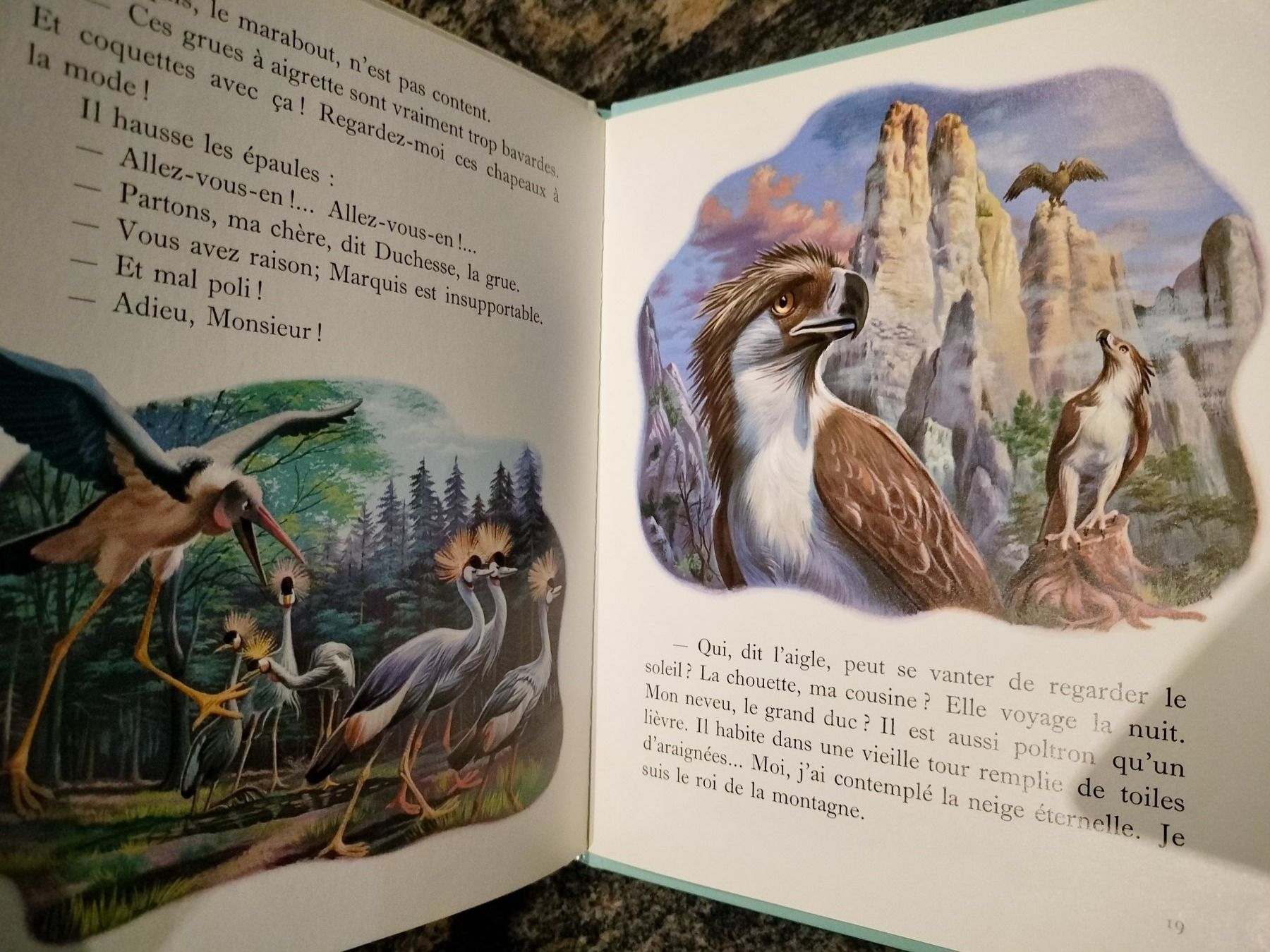 Libri: Martine au zoo dès 3 ans – Usato da Cortaillod venduto da rozinna 8