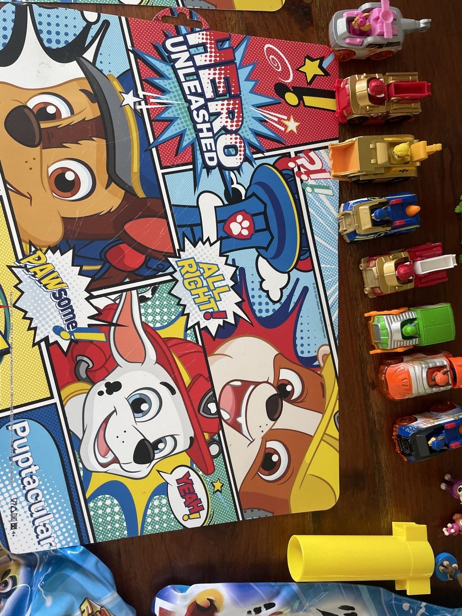 Giocattoli: Paw Patrol Sammlung – Usato da Engelburg venduto da Identity 9