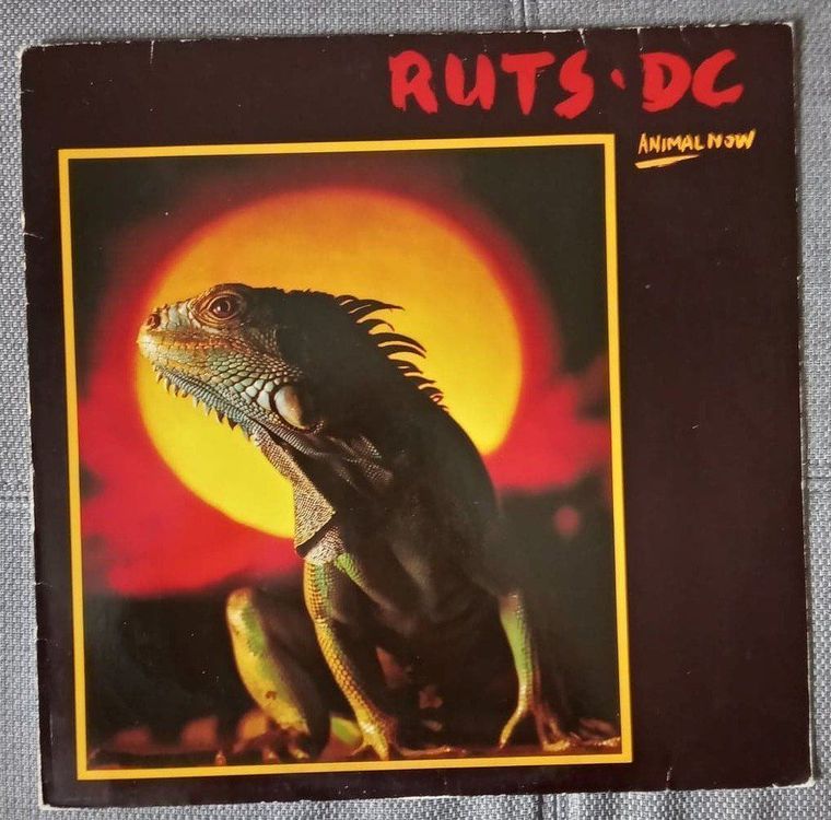 RUTS DC - Animal Now - disque vinyl 1981 - Rock / new wave (Gebraucht ...