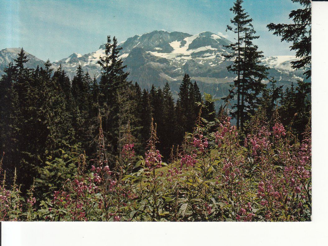 Cartoline postali: Lenk ca. 1970 – Usato da Bürglen TG venduto da StampGraf