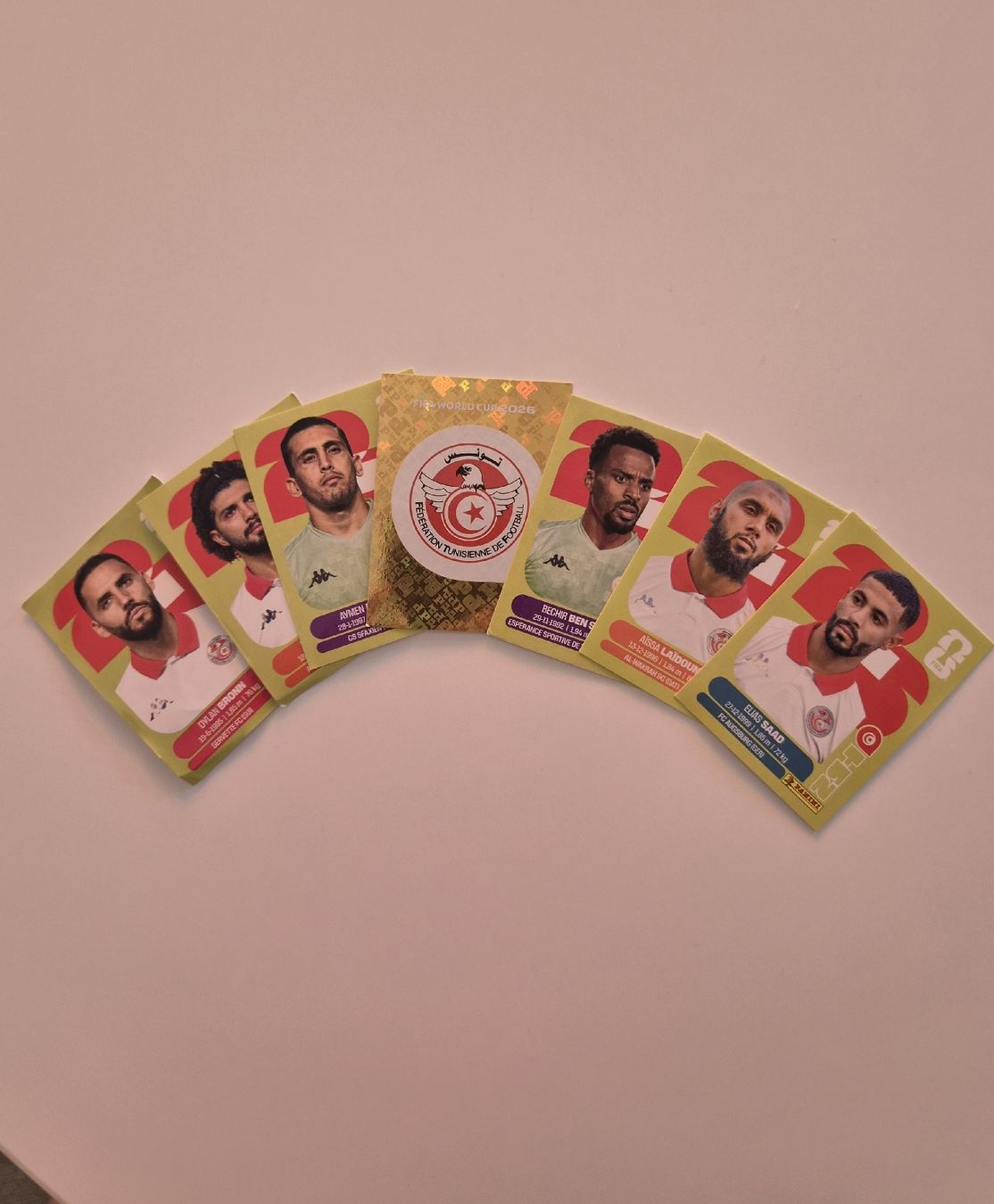 Panini Carte collezionabili: Panini Sammelbilder Bundle Tunesien – Nuovo (secondo la descrizione) da Zürich venduto da gates_11