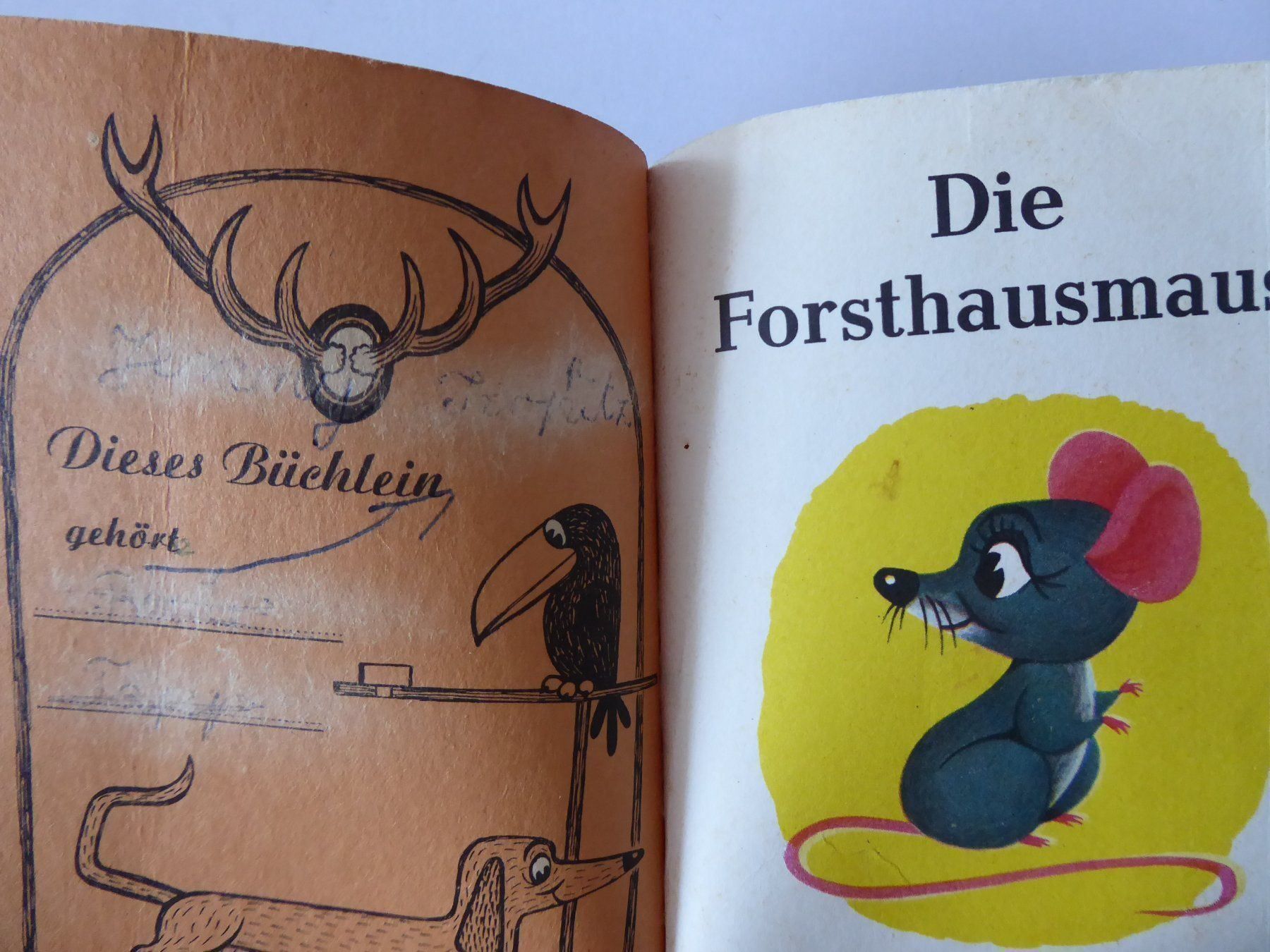 Libri: Pevau 21, Die Forsthausmaus, antik – Usato da Turbenthal venduto da Panau 1