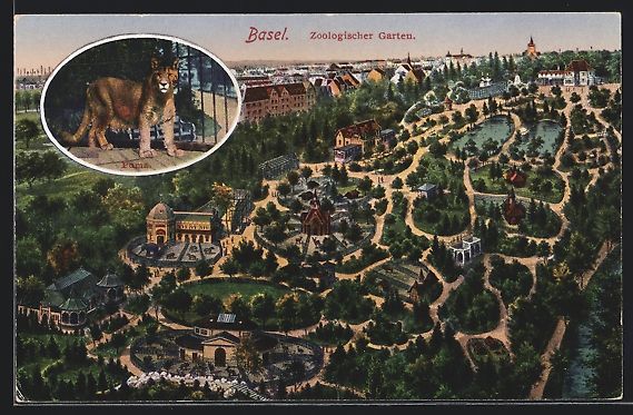 Cartoline postali: Basel, Zoologischer Garten, Vogelschau,  – Usato da Berlin venduto da bartko-reher