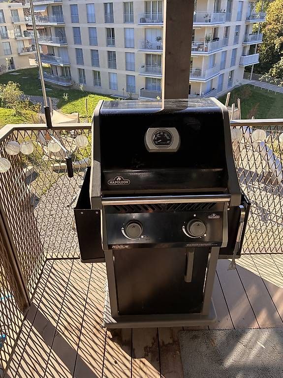 Griglie: Gasgrill Napoleon Rogue – Usato da Münchenstein venduto da luc.ste 3