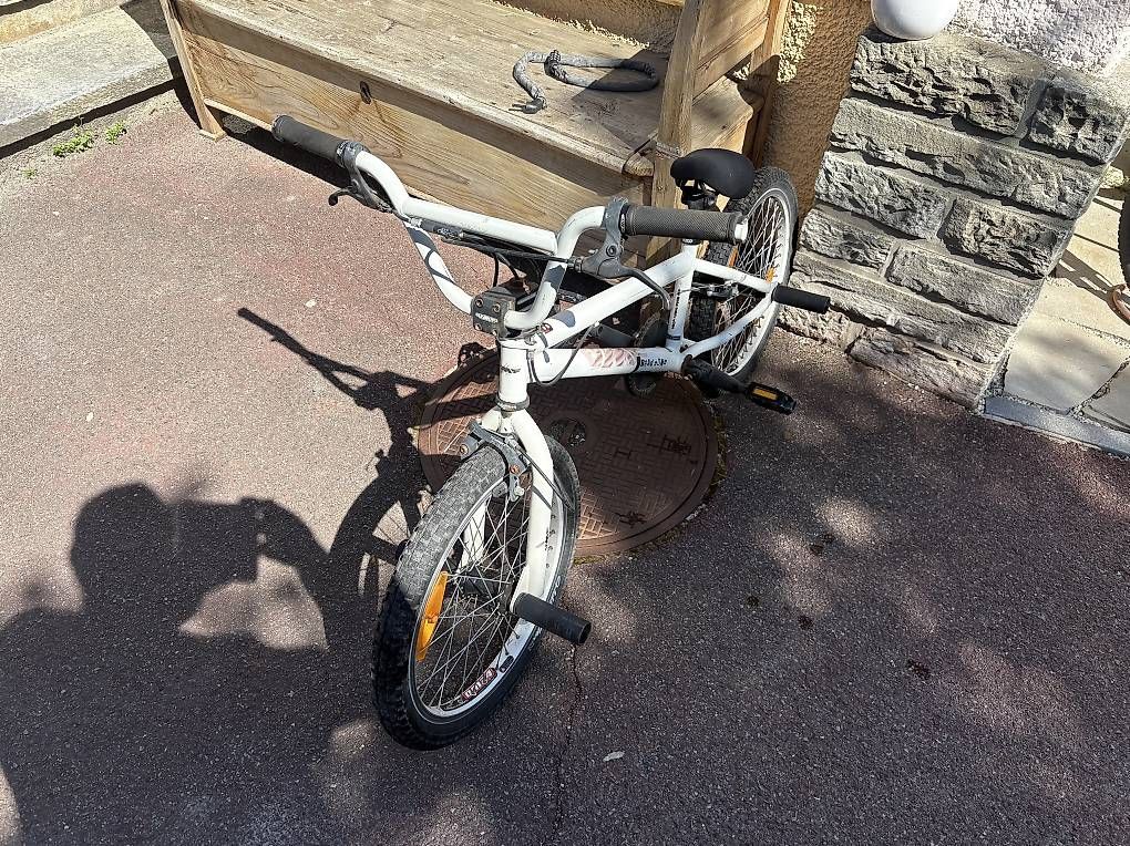 Biciclette: BMX freestyle UMF – Usato da Martigny venduto da gerarth 2