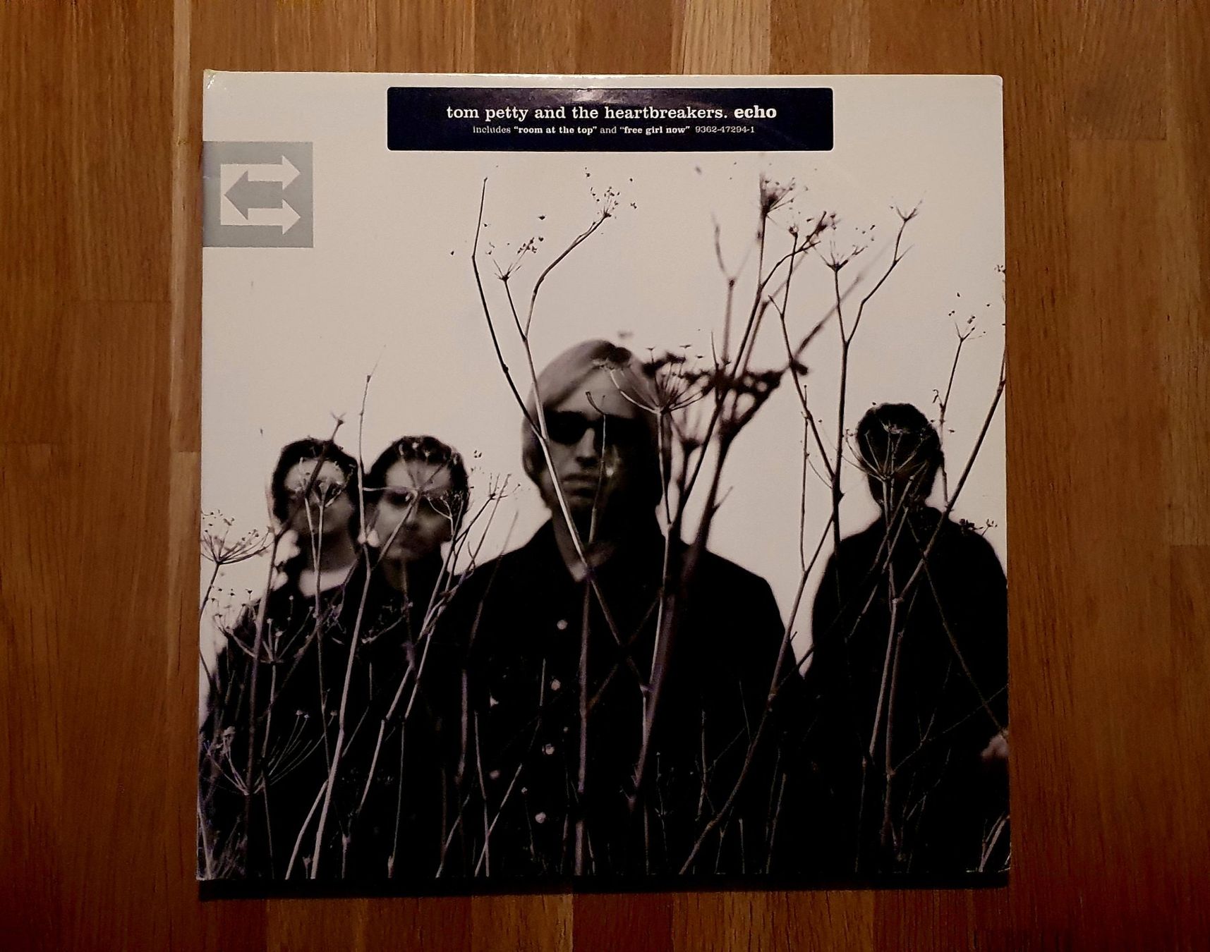 Dischi in vinile: TOM PETTY & Heartbreakers, Echo, 2LP, NEUWERTIG! – Nuovo (secondo la descrizione) da Kreuzlingen venduto da Cdschlumpf