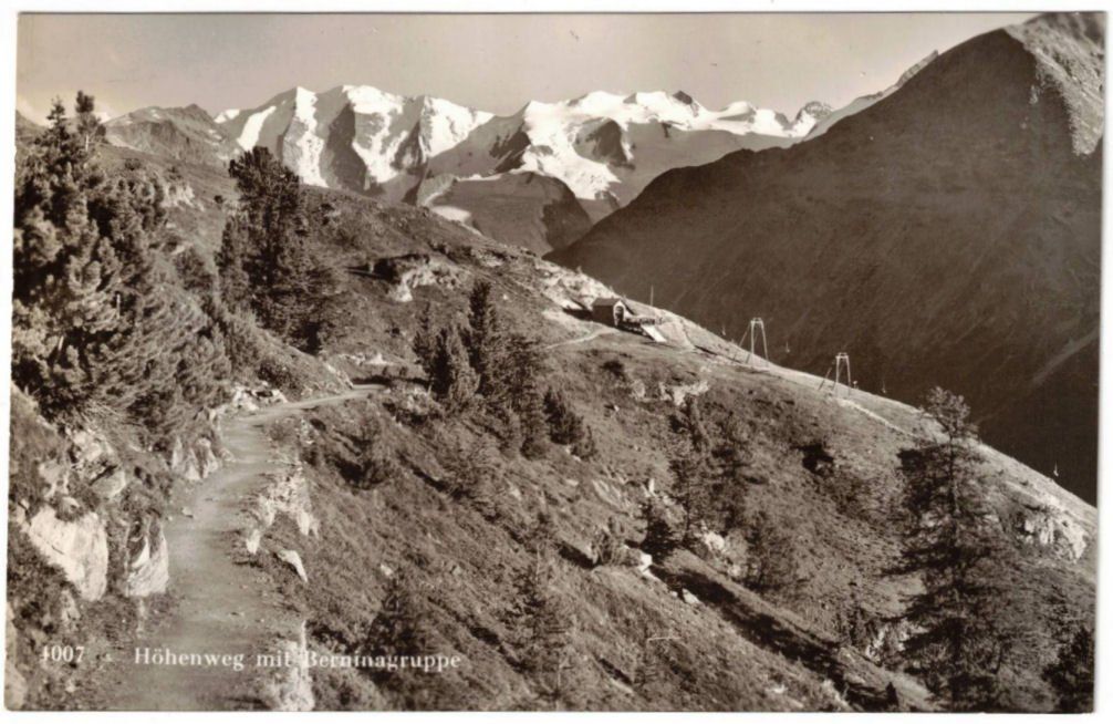 Cartoline postali: Pontresina - Sessellift – Usato da Binningen venduto da Mountainrider