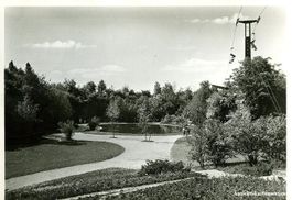 Stuttgart - Deutsche Gartenschau + 1950