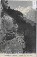 Brünigbahn zwischen Passhöhe und Meiringen