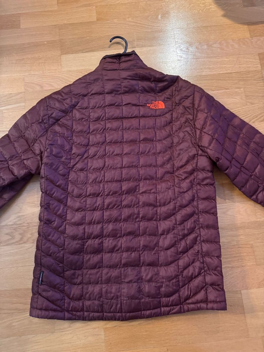 Giacche: Jacke  TheNorth Face – Usato da Hochdorf venduto da tom_55hc 1