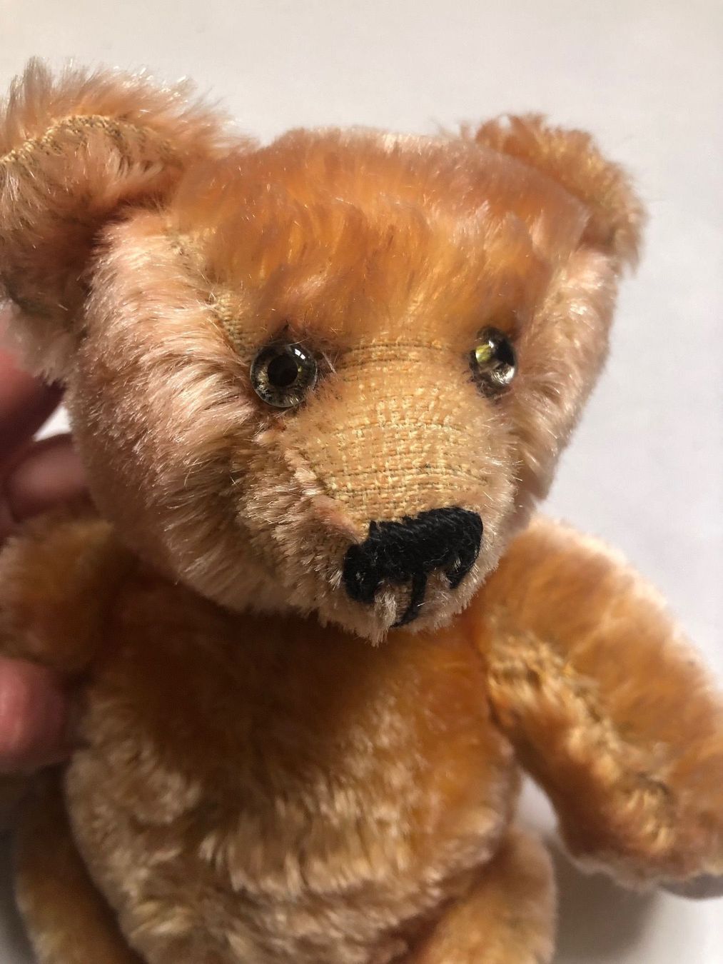 Spielzeuge: Ours en peluche – Gebraucht aus Arnex-sur-Orbe von cameleonfringant 4