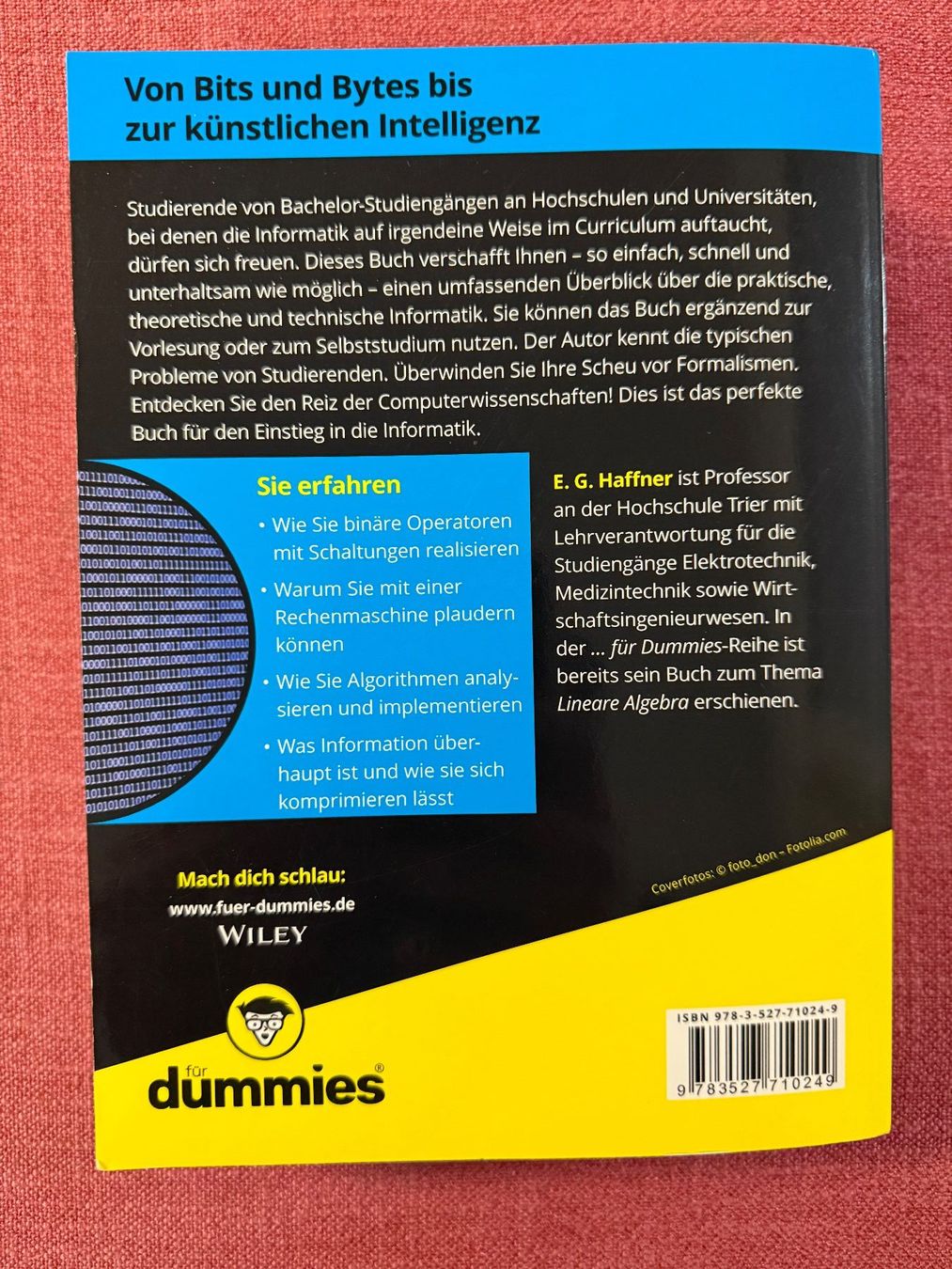 Libri: Informatik: Das Lehrbuch für dummies – Usato da Dietikon venduto da Buchantiqdietikon 4