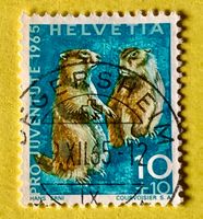 Nr.J 211 GESTEMPELT Alpenmurmeltier 1965  