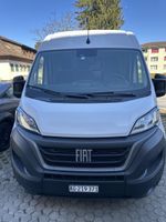 Fiat Ducato Kastenwagen Weiss, Top Zustand, Servicegepflegt